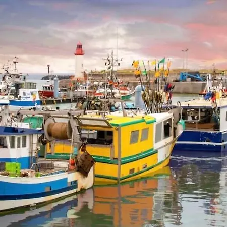 Le Patio - Saint-denis D'oleron * Saint-Denis-dʼOléron