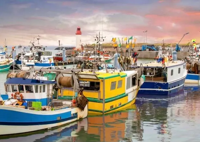 Le Patio - Saint-denis D'oleron * Saint-Denis-d'Oleron